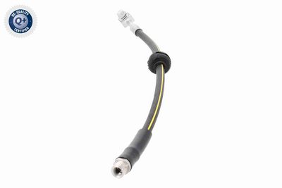 FURTUN FRANA VAICO V402216 4