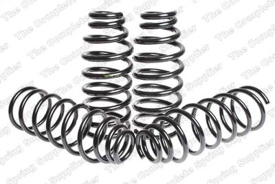 FAHRWERKSSATZ FEDERN