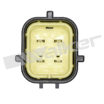 LAMBDASONDE WALKER PRODUCTS 35034645 2