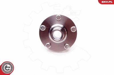Wheel Bearing Kit 29SKV135