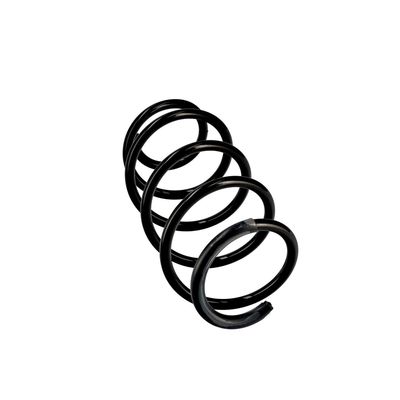 ARC SPIRAL EIBACH R10097 24