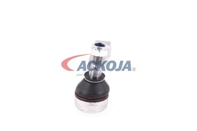 CAP DE BARA ACKOJA A329557 48