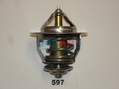 Termostatas, aušinimo skystis JAPKO 38597