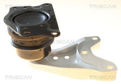 окачване, двигател TRISCAN 8505 291012
