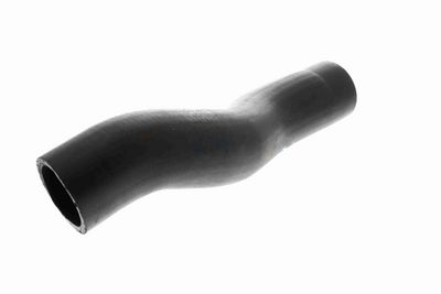 FURTUN EAR SUPRAALIMENTARE ACKOJA A529600 4