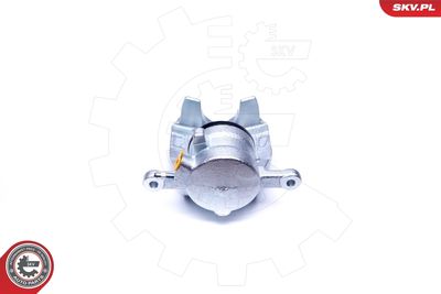 Brake Caliper 42SKV351