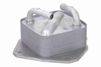 RADIATOR ULEI ULEI MOTOR ACKOJA A32600011 2