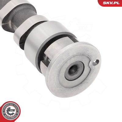 AX CU CAME ESEN SKV 80SKV035 3