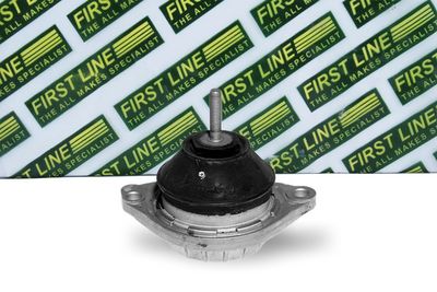 окачване, двигател FIRST LINE FEM3162