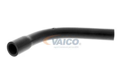 FURTUN AERISIRE CHIULASA VAICO V401175 56