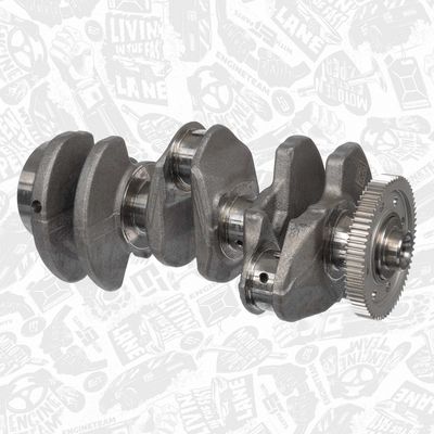 ARBORE COTIT ET ENGINETEAM HK0222 2