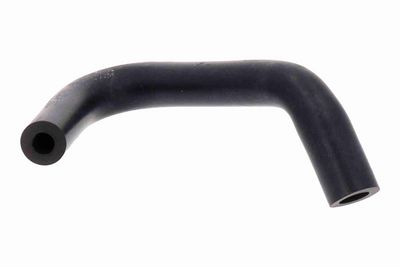 FURTUN RADIATOR VAICO V241111 2