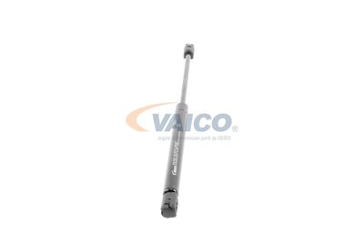GASFEDER KOFFER-/LADERAUM VAICO V102082 50