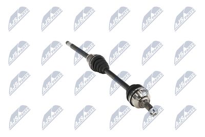 PLANETARA NTY NPWPE124 13