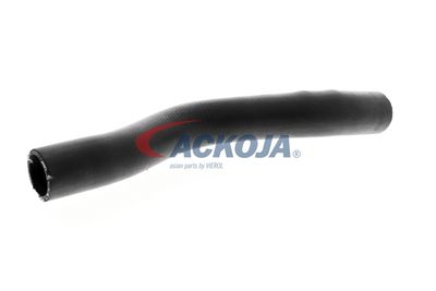 FURTUN RADIATOR ACKOJA A261604 31