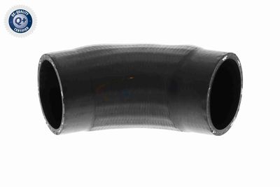 LADELUFTSCHLAUCH VAICO V201614 1