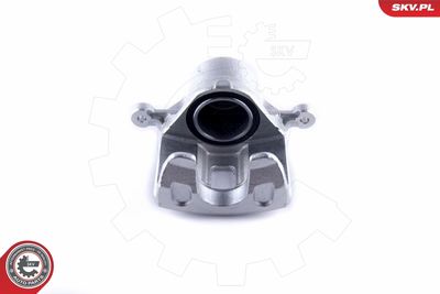 Brake Caliper 50SKV772