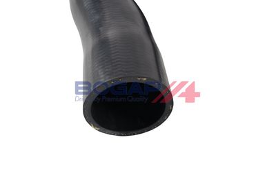 FURTUN EAR SUPRAALIMENTARE BOGAP A1711328 4