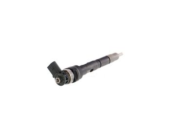 INJECTOR REMANTE 002003000034R 30