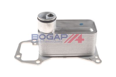 RADIATOR ULEI ULEI MOTOR BOGAP B4222118 1