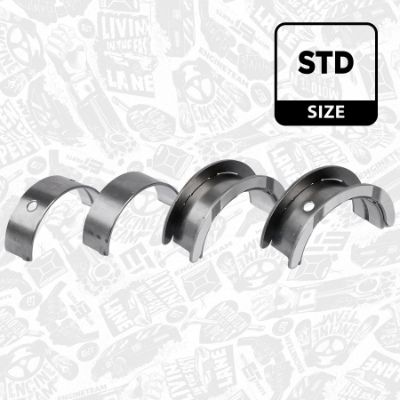 SET RULEMT ARBORE COTIT ET ENGINETEAM LH002200 1