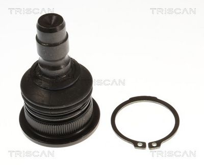 Шарнири TRISCAN 8500 155007