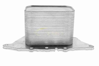 RADIATOR ULEI ULEI MOTOR VEMO V20601554 5