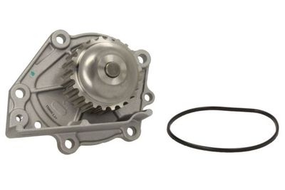 Water Pump, engine cooling D1K006TT