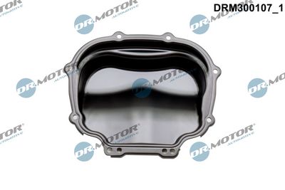 ACOPERIRE CARCASă DISTRIBUțIE Dr.Motor Automotive DRM300107 1