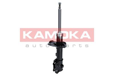 Shock Absorber 2000244