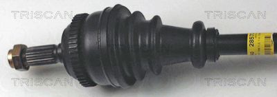 PLANETARA TRISCAN 854028573 1