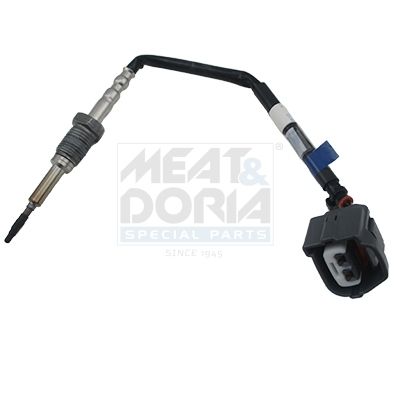 Sensor, Abgastemperatur