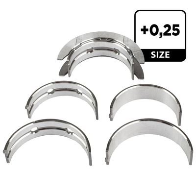 SET RULEMT ARBORE COTIT ET ENGINETEAM LH006125 2