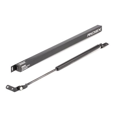 газов амортисьор, багажно/товарно пространство RIDEX 219G0846