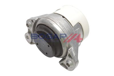 BOGAP Variklio montavimas