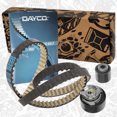 SET CUREA DE DISTRIBUTIE ET ENGINETEAM RM0043