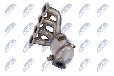 CATALIZATOR NTY KATPL011 17