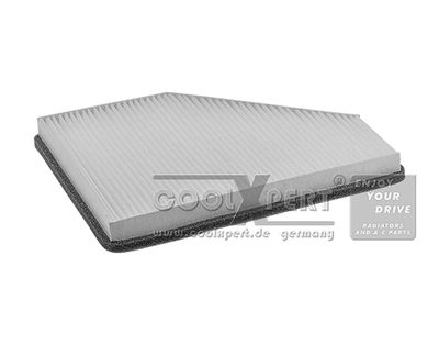 Фильтр, воздух во внутренном пространстве BBR Automotive 029-20-03195 для RENAULT SAFRANE