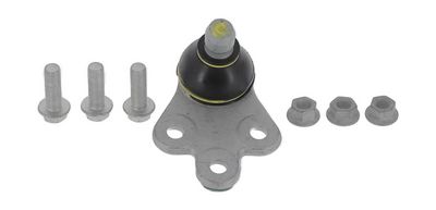 ARTICULATIE SARCINA/GHIDARE