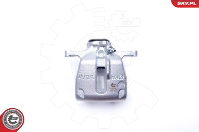 Brake Caliper 34SKV803