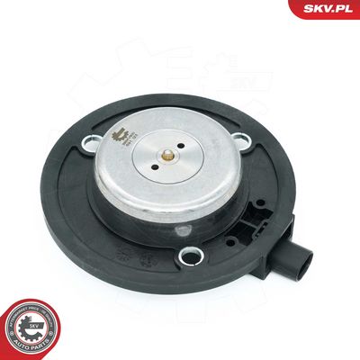 Zentralmagnet, Nockenwellenverstellung