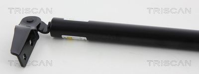 AMORTIZOR PORTBAGAJ KAWE 871068212 1