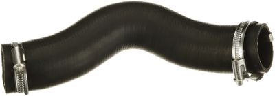 FURTUN EAR SUPRAALIMENTARE