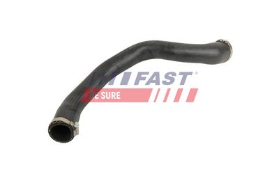 FURTUN EAR SUPRAALIMENTARE