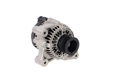 GENERATOR / ALTERNATOR REMANTE 011003000103R 53