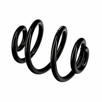 ARC SPIRAL EIBACH R10030 21