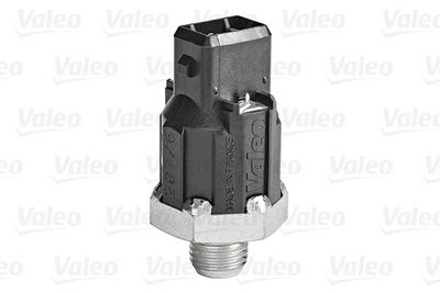 Nakutustunnistin VALEO 255400