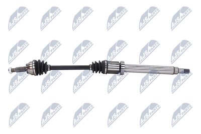 PLANETARA NTY NPWFR028 24