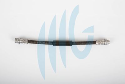 Тормозной шланг RICAMBIFLEX GM 02120272 для FIAT SCUDO
