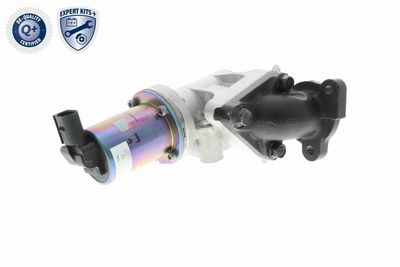 SUPAPA EGR ACKOJA A53630001 10